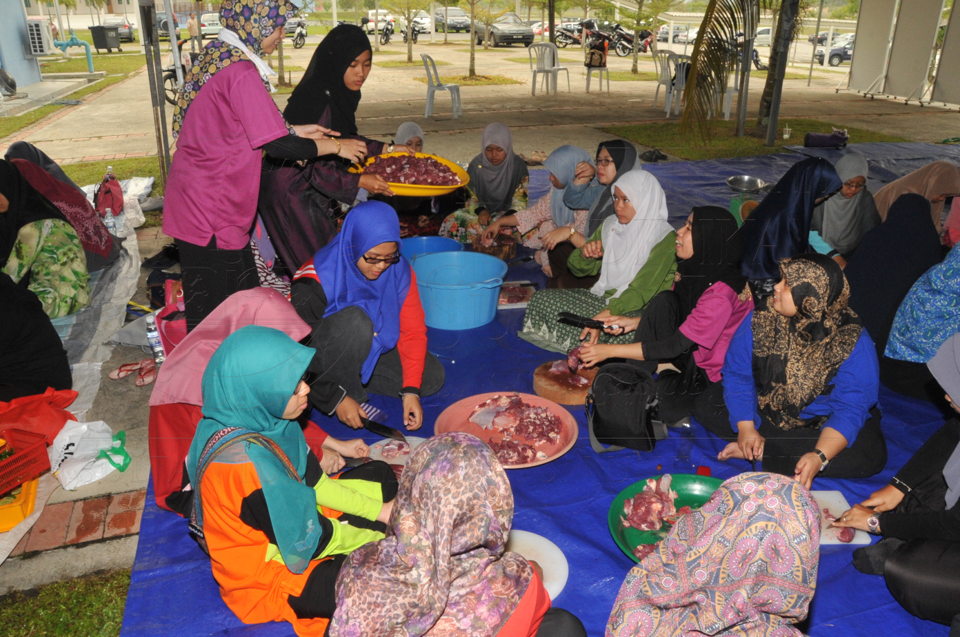 PRO15 150 KORBAN HAS 6950